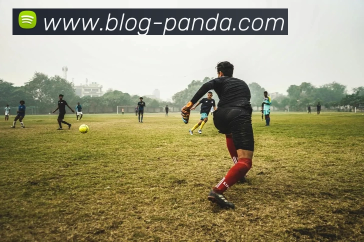 熊猫体育平台生态图