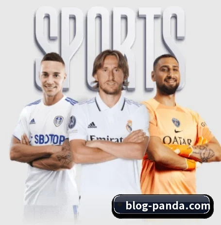 熊猫体育的方向(PandaSports)